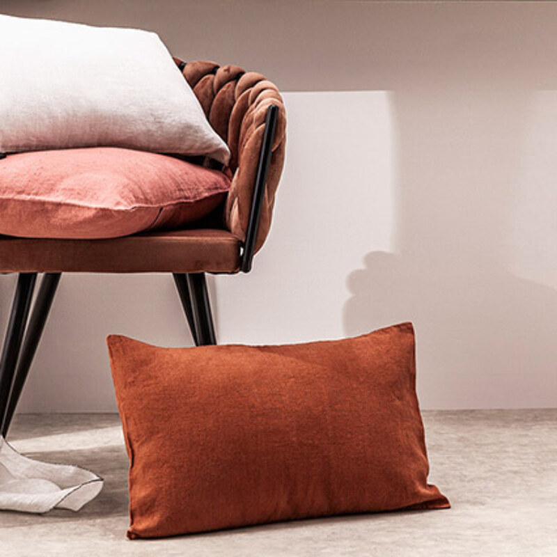 vign_coussin_bis_lin_top_view_2023