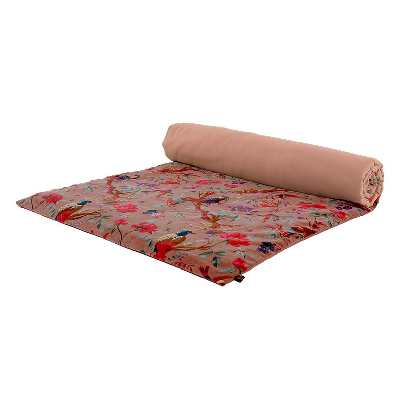 BIRDY-EDREDON-MOCACCINO