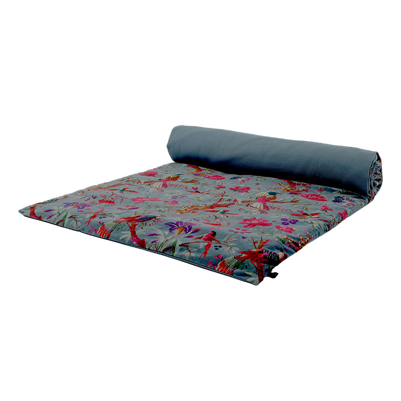 BIRDY-EDREDON-TURQUIN