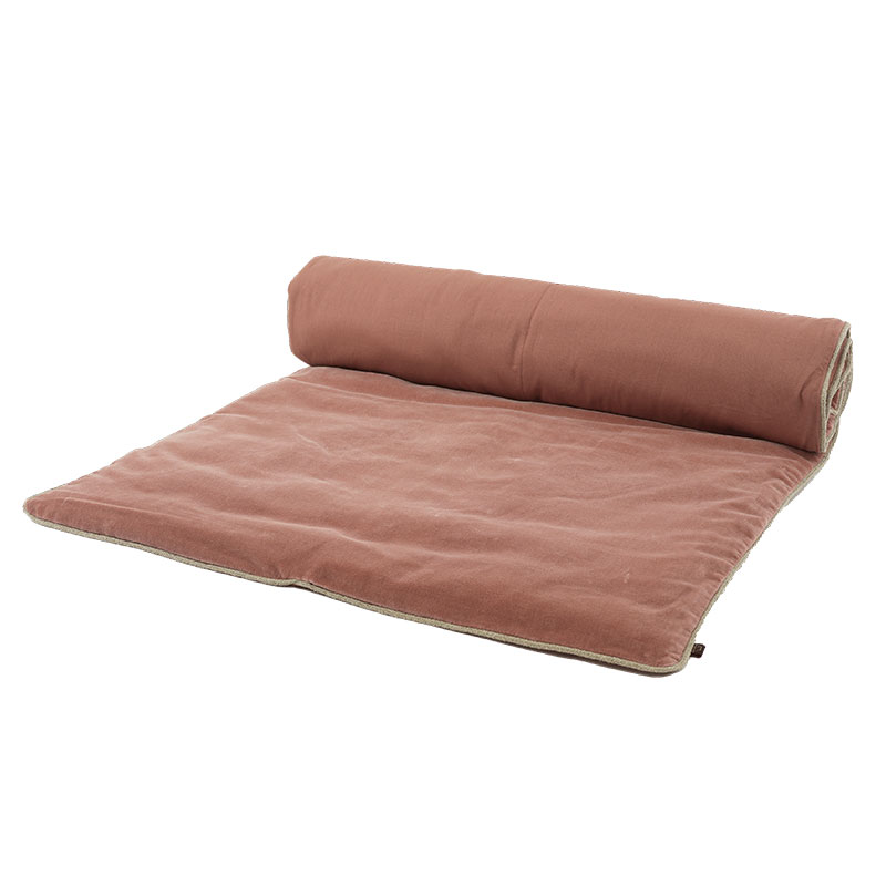 NEWDELHI-EDREDON-MOCACCINO